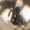 F26199_antic.silv_swatch.jpg