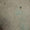 F26202_aqua_swatch.jpg