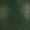 F26202_forest_swatch.jpg