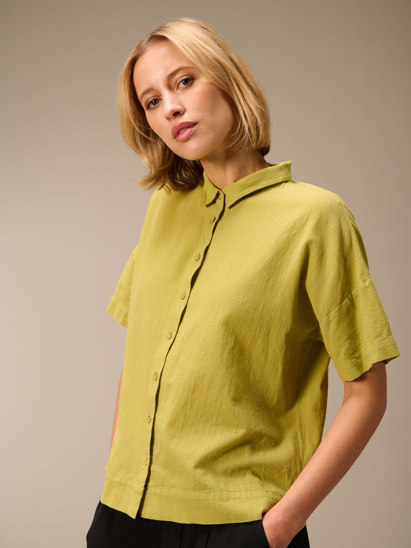 S26245_kiwi_1.jpg