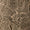 S26310_olive_swatch.jpg